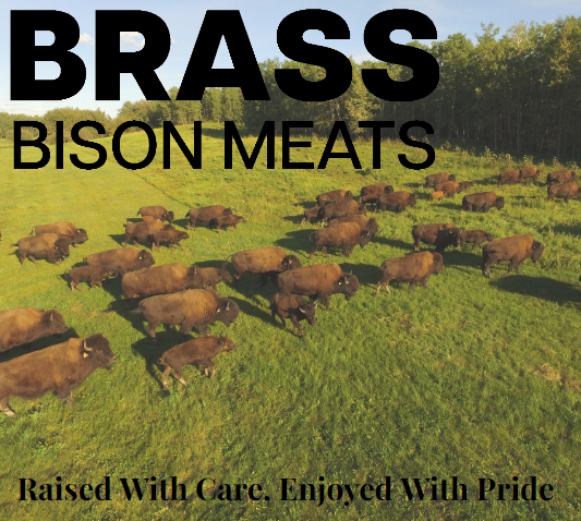 Brass Bison Meats Bison Herd