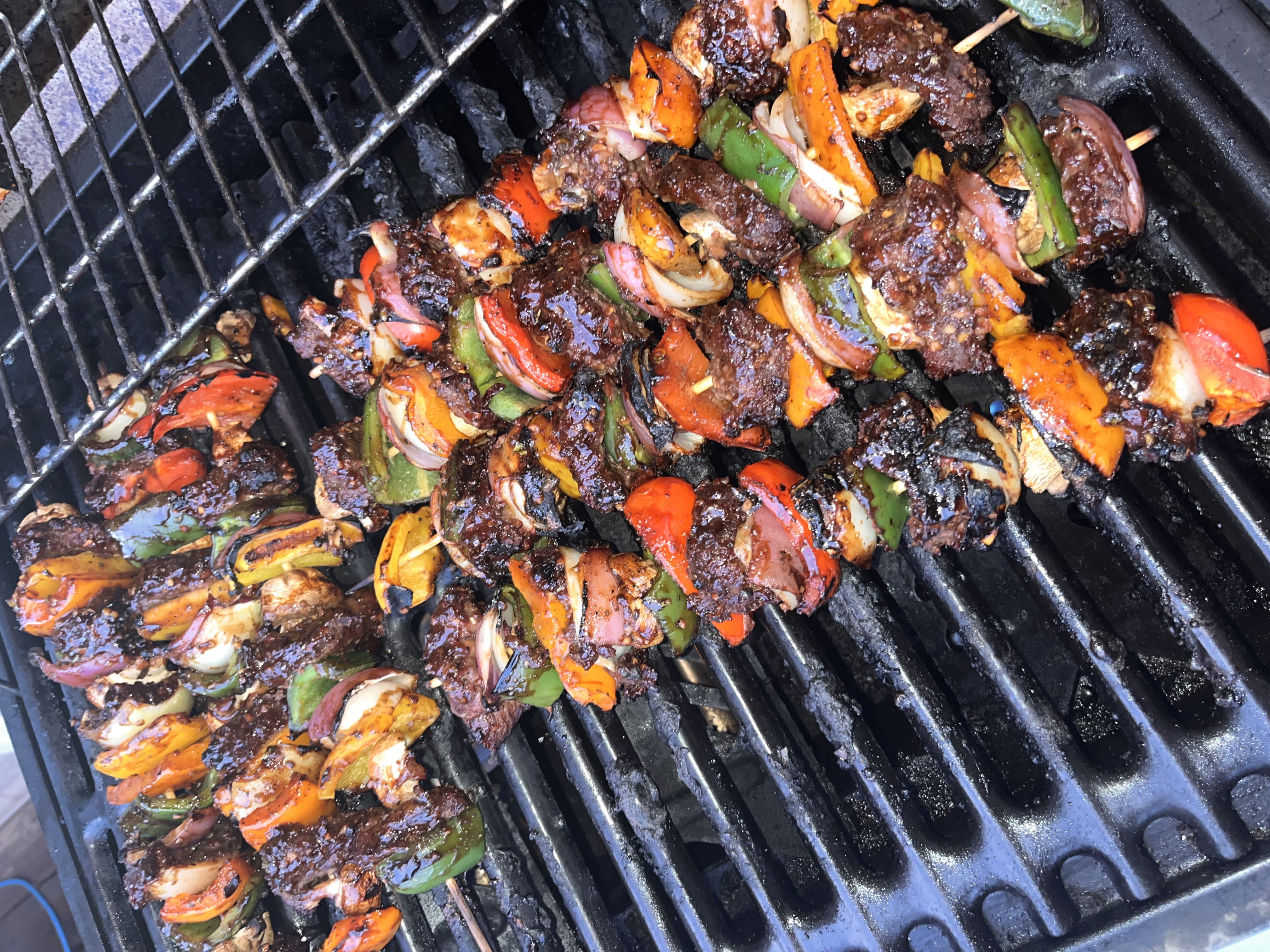 Bison Kabobs